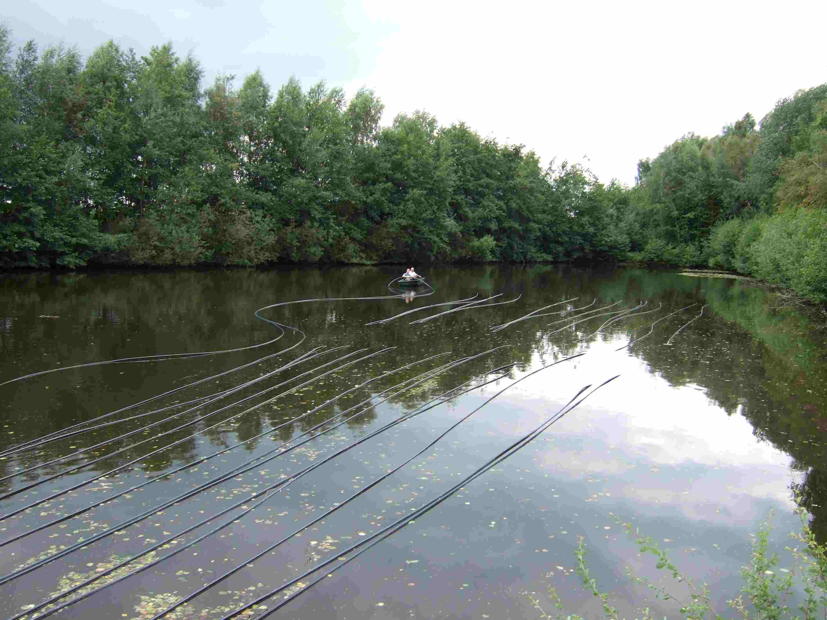 Teich2